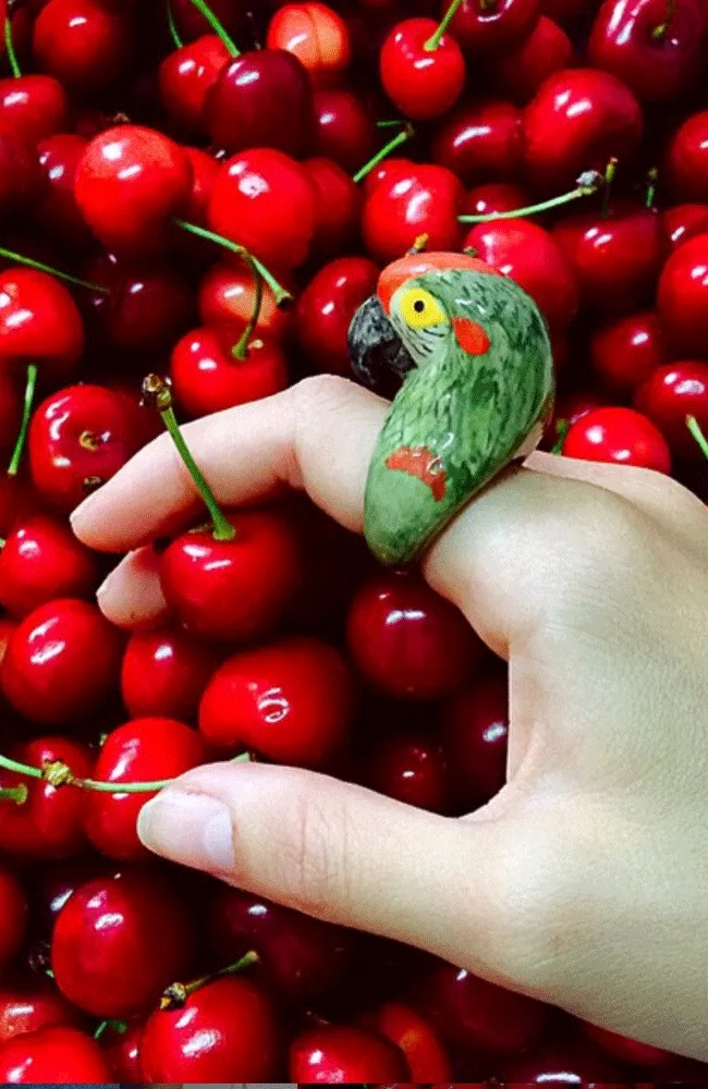 Green Parrot Porcelain Ring