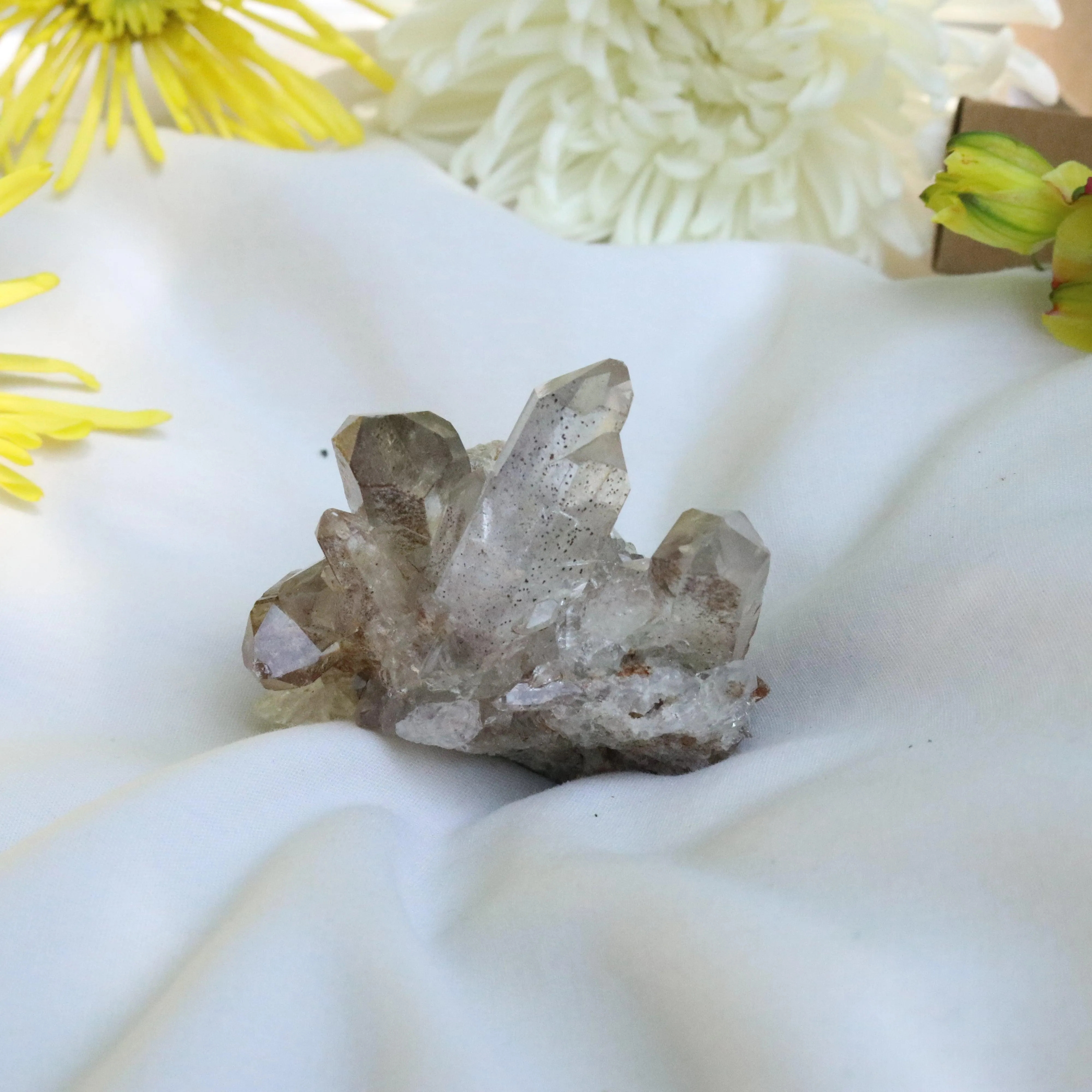 Quartz Cluster from Brazil ~ Gemmy and Earthy Vibes