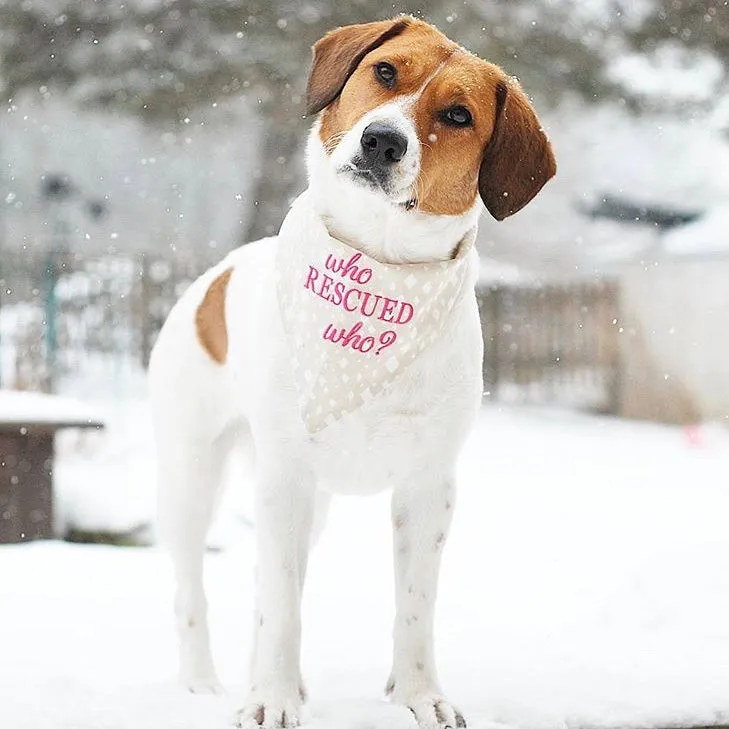 Who Rescued Who? Embroidered Dog Bandanas Ready to Ships