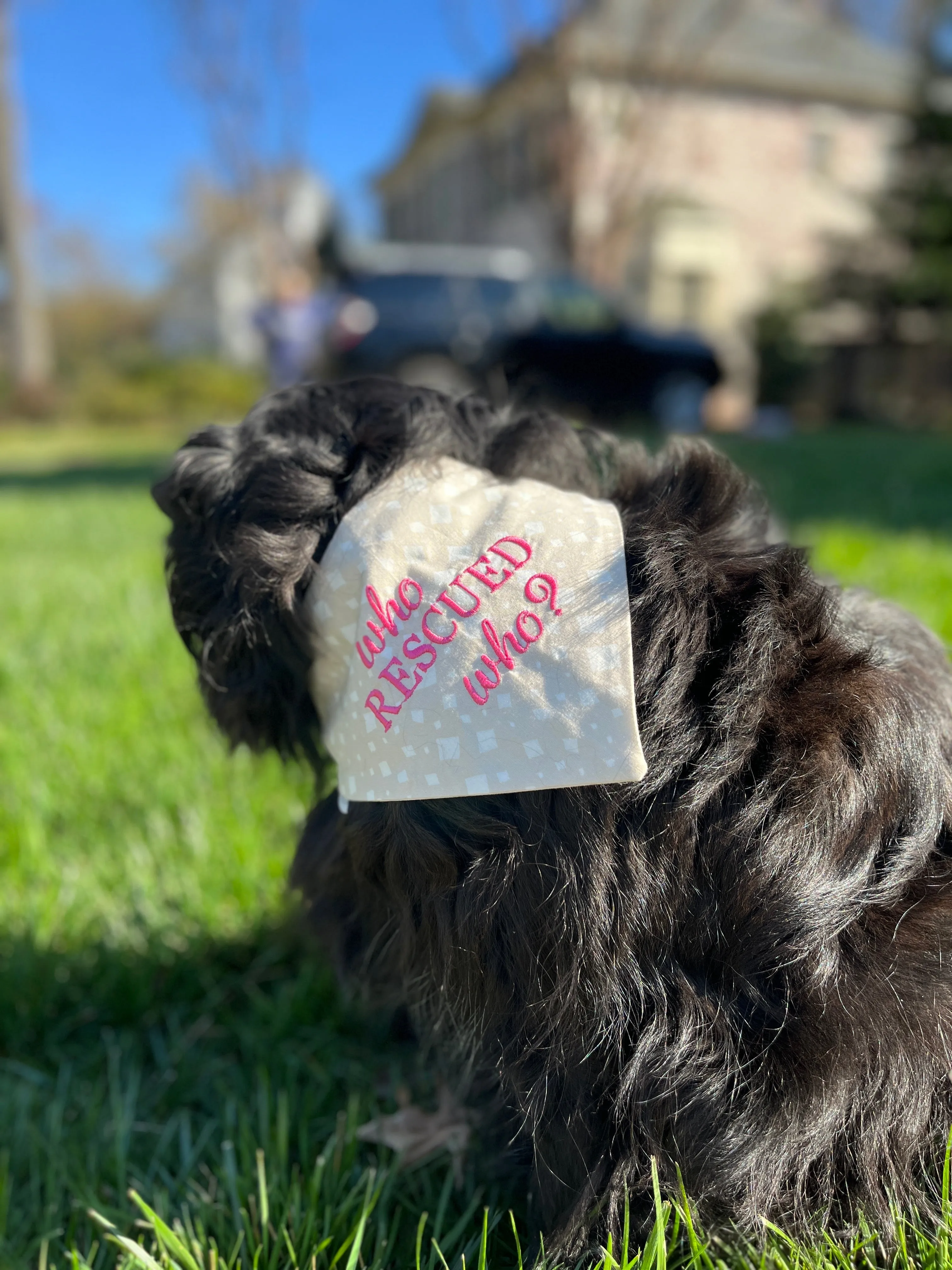 Who Rescued Who? Embroidered Dog Bandanas Ready to Ships