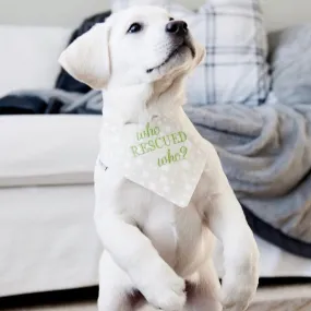 Who Rescued Who? Embroidered Dog Bandanas Ready to Ships